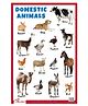 Domestic Animals Educational Chart - English