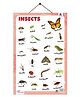 Insects Educational Chart - English