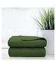 Sassoon Caldezonia Microfiber Hand Towel 450 GSM Set of 2 - Green