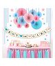 AMFIN (Pack of 15) Baby Shower Props for Decoration Boy or Girl Banner Combo Baby Shower Decoration Items Set Decoration Decoration for Baby Welcome- Blue & Pink