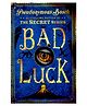Usborne Bad Luck Story Book - English