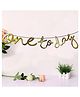AMFIN One Today Bunting Banner for First Birthday Girl Decoration Cake Smash Decoration - Golden