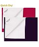 Quick Dry Baby Bed Protector Mat Small Pack Of 2 -(Color May Vary)