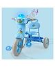 Dash Vega Tricycle With Light, Music & Storage Basket - Blue