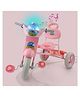 Dash Vega Tricycle With Light, Music & Storage Basket - Pink