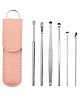 Stainless Steel Ear Wax Remover With Leather Storage Case - Pack of 6