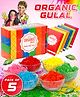 Fiddlerz Organic Herbal Gulal Holi Colors Skin-Friendly Non-Toxic Food-Grade Powder Vibrant Shades Easy to Wash Safe for Kids and Adults-Pack of 5