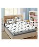 KIDS WONDERS Pure Cotton Bedsheet and Pillow Set King Size - Blue & White