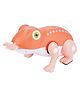 NEGOCIO Toys Hungry Froggy with Sound and Light Effect (Color may Vary)