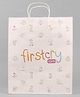 Firstcry.com Paper Bags Medium Size
