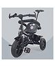 Dash Thunder 2 in 1 Tricycle with Parental Handle & Storage Basket - Black