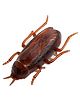 Muren Electronic Moving Cockroach Vibrating Prank Gag Toy-Battery Operated Toy for Kids - Brown