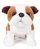 Wild Republic Bull Dog Soft Toy White And Brown - 33 cm