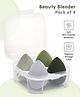 Beauty Blender Pack of 4-Multicolor