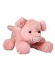 FunBlast Stuffed Pig Soft Toy for Kids Pink - Length 45 cm