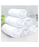 JARS Collections High Absorb 100% Cotton Premium Hand Towel Pack of 6 - White