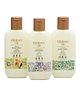 Tikitoro Kids Starter Pack Body Wash Lotion & Shampoo - 75 ml Each