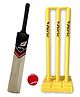 Airic Dashing Kashmiri Popular Willow bat with Plastic Wicket Set and Tennis Ball Cricket Kit - Yellow
