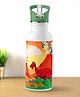 Dinosaur Theme Stainless Steel Colour Changing Magic Bottle - 600 ml