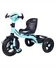 Dash Star Chase Kids Baby Trike Tricycle with Parental for Kids Boys Girls Age Group 2 Year Plus -Sea Green