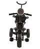 Joyride Learn To Ride Music and Light Plug N Play Tricycle With Safety Harness Parental Handle - Black
