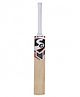 SG RSD Plus Kashmir Willow Cricket Bat - White