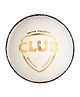 SG Club Leather Cricket Ball White - Pack of 6