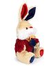 Starwalk Rabbit Plush With Jacket & Bow - 20 CM