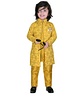 DOTSON Full Sleeves Embroidered Sequence Embellished Achkan Kurta & Pajama - Golden