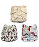 The Mom Store Combo of 3 Reusable Diapers - Multicolour