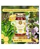Shiva Organic Van Tulsi Honey NMR Tested 100% Natural Healthy and Pure No Added Sugar Flavour Unadulterated Sourced Ethically from Vantulsi Flower - 250 g