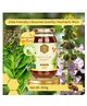 Shiva Organic Van Tulsi Honey NMR Tested 100% Natural Healthy and Pure No Added Sugar Flavour Unadulterated Sourced Ethically from Vantulsi Flower - 500 g