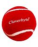 CLOVERBYTE Rubber Light Weight  Cricket Tennis Ball - Red