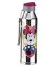 Joyo SS Disney Minnie Fizzy Steel Bottle- 750 ml