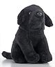 Wild Republic Dog Soft Toy Black- Height 27 cm