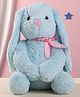 PLAY TOONS Super Soft and Fluffy Sitting Bunny Blue - Height 36 cm