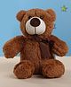 PLAY TOONS Super Soft and Fluffy Teddy Bear Brown - Height 29 cm(Color May Vary)