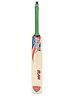 Elan MS Cricket Bat Youth- Orange & Green