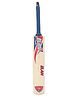 Elan Willow Junior Cricket Bat Full Size - Red & Blue