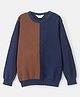 Primo Gino 100% Cotton Knit Full Sleeves Color Block Sweater - Navy Blue & Brown