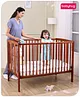 Babyhug Malmo Wooden Cot with 3 Level Height Adjustment & Plug and Play Assembly  Walnut Color| Solid Pinewood