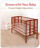 Babyhug Malmo Wooden Cot with 3 Level Height Adjustment & Plug and Play Assembly  Walnut Color| Solid Pinewood