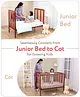 Babyhug Malmo Wooden Cot with 3 Level Height Adjustment & Plug and Play Assembly  Walnut Color| Solid Pinewood