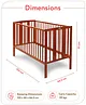 Babyhug Malmo Wooden Cot with 3 Level Height Adjustment & Plug and Play Assembly  Walnut Color| Solid Pinewood