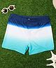 Yellow Bee Ombre Printed Swim Shorts - Blue And White