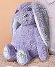 Mi Arcus Bunny Cute & Plush Soft Plush Toy Purple - Height 27 Cm
