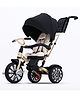 Bentley Mulliner 6-in-1 Baby Tricycle and Stroller - Golden