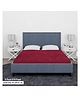 Sassoon Laika King Size Waterproof Mattress Protector 72x72 inch - Maroon