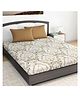 Divine Casa Cotton King Size Printed Bedsheet  - Beige