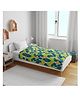 Divine Casa Micro Dohar Blanket For Toddler Upto 4 Years - Green